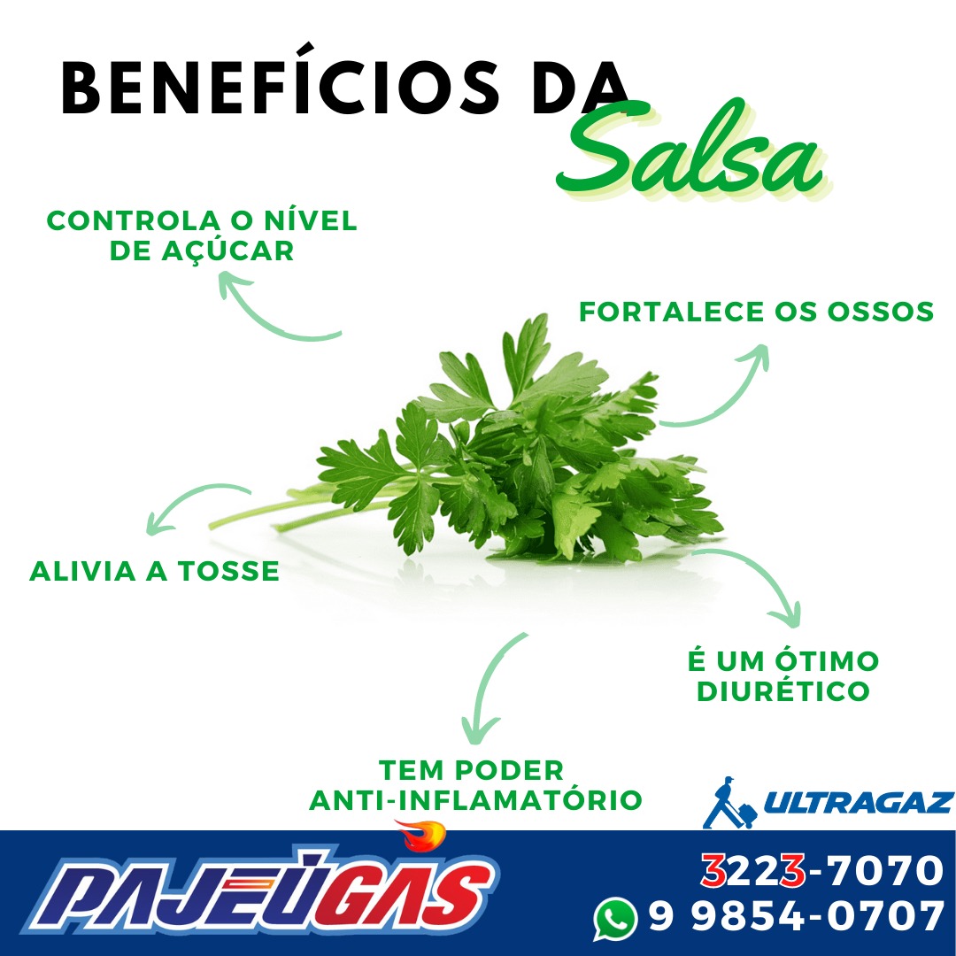 Benefícios Da Salsa Pajeú Gás 8456